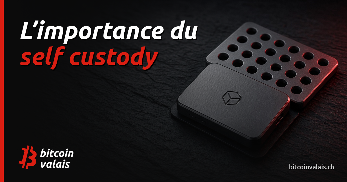 L’importance du self custody : gardez le contrôle de vos bitcoins